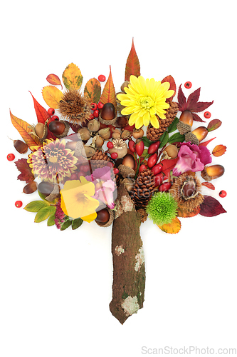 Image of Surreal Autumn Tree Composition with Leaves and Flowers
