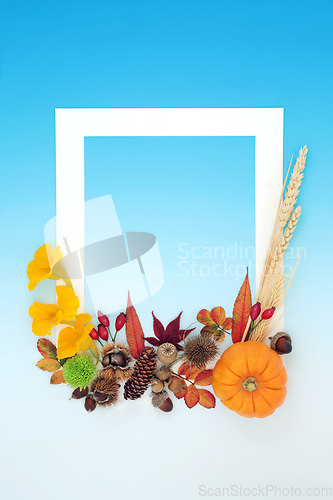 Image of Thanksgiving and Fall Abstract Nature Background