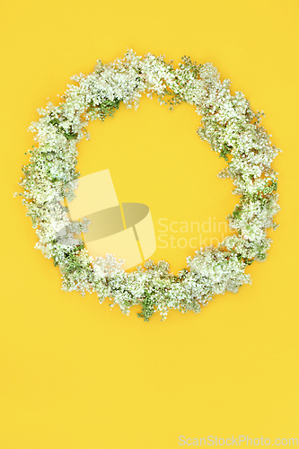Image of Elderflower Summer Wildflower Wreath