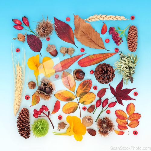 Image of Symbols of Nature for Autumn Season