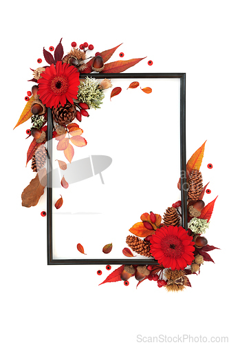 Image of Vivid Autumn and Thanksgiving Background Nature Border