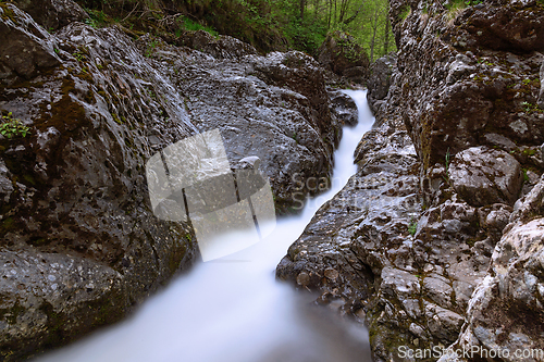 Image of mountain river in Apuseni, detail