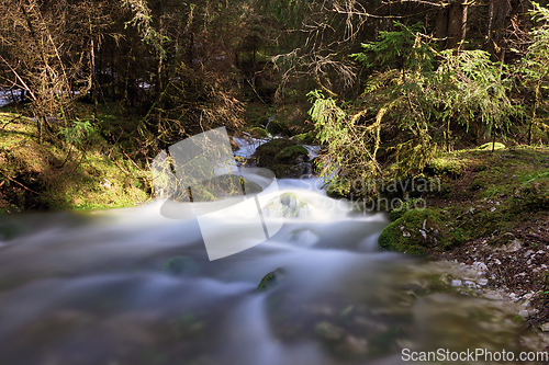 Image of mountain stream in Apuseni