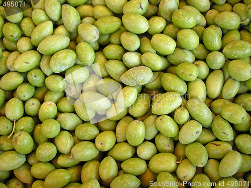 Image of Fresh green olives