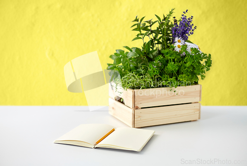 Image of notebook with herbs and flowers in wooden box