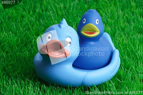 Image of Rubber ducks