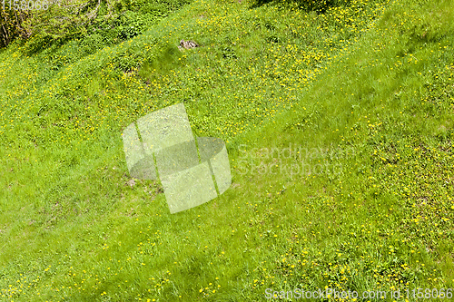 Image of grass hilly terrain