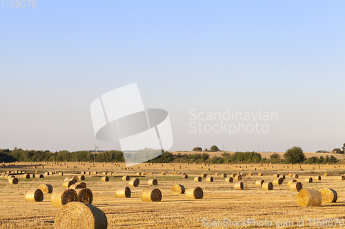 Image of agricultural field