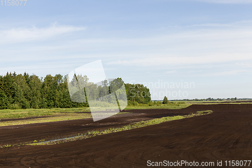 Image of black soil