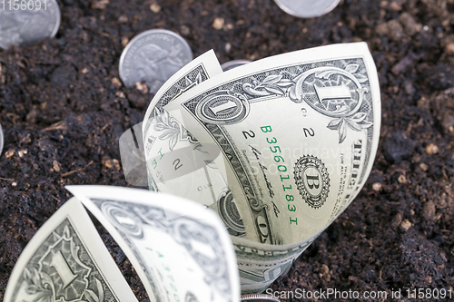Image of soil and dollars