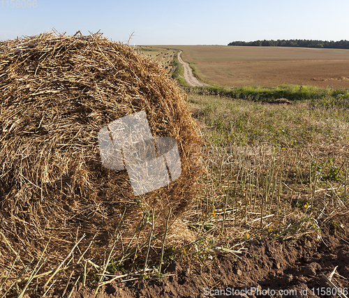 Image of stack of straw