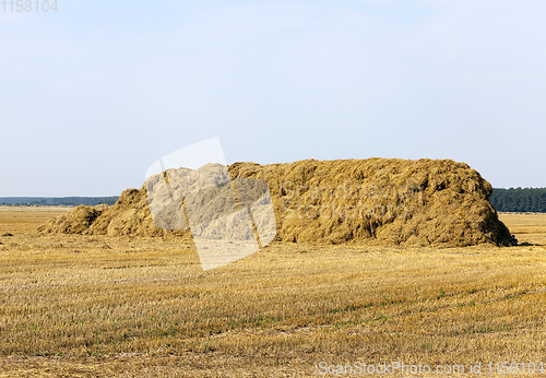 Image of long stack of straw