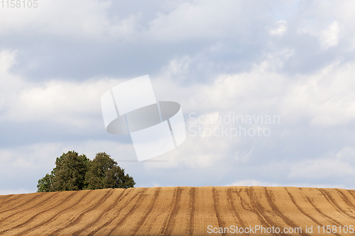 Image of plowed field
