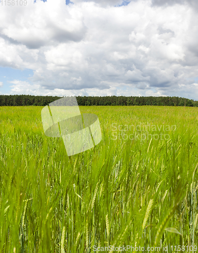 Image of agricultural field