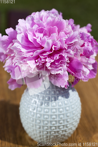 Image of pink peonies