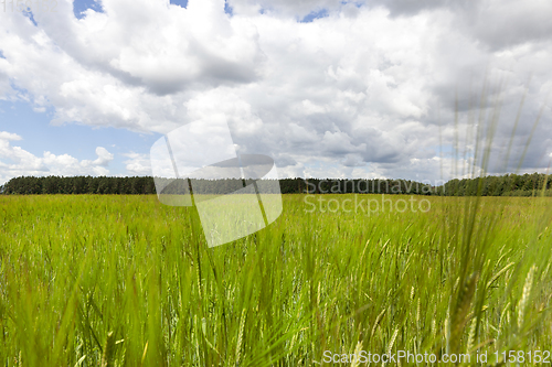 Image of agricultural field