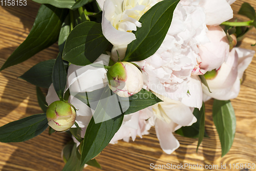 Image of white peonies