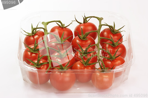 Image of Tomatoes