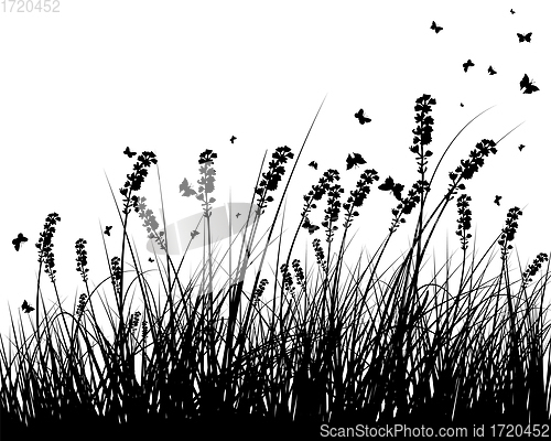 Image of Summer Meadow Background
