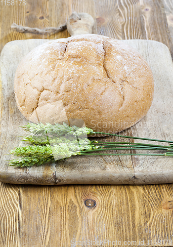 Image of Fresh bread