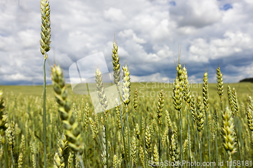 Image of spring cloudy weather