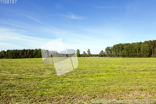 Image of summer landscape