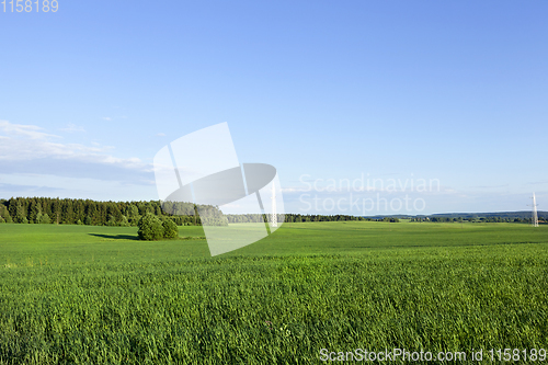 Image of summer landscape