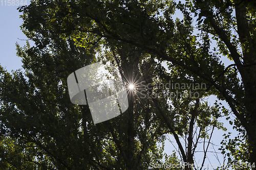 Image of sun with rays