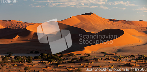 Image of beautiful landscape Hidden Vlei in Namibia, Africa