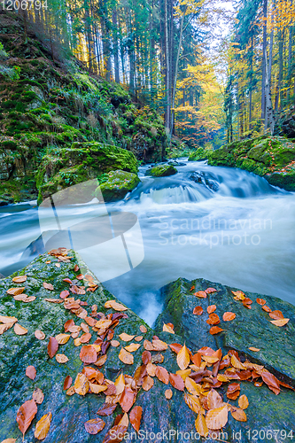 Image of wild river Doubrava, autumn landscape