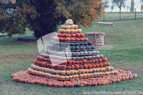 Image of pyramid from Autumn harvested pumpkins
