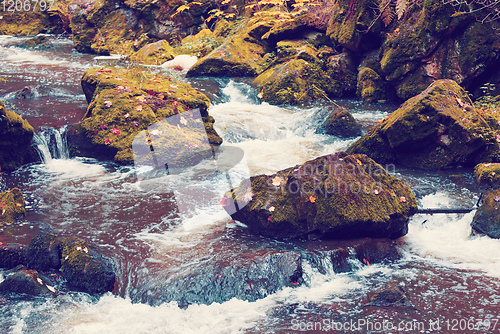 Image of wild river Doubrava, autumn landscape