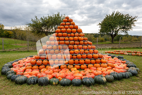 Image of pyramid from Autumn harvested pumpkins