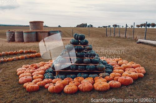 Image of pyramid from Autumn harvested pumpkins