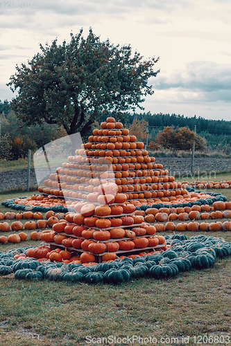 Image of pyramid from Autumn harvested pumpkins