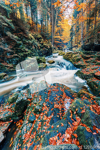 Image of wild river Doubrava, autumn landscape