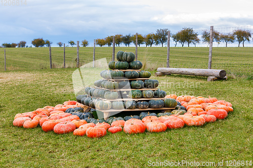 Image of pyramid from Autumn harvested pumpkins