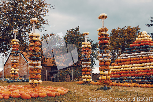 Image of pyramid from Autumn harvested pumpkins