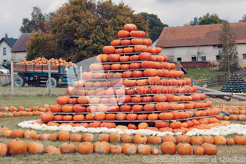 Image of pyramid from Autumn harvested pumpkins