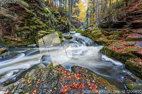 Image of wild river Doubrava, autumn landscape