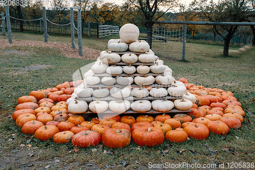 Image of pyramid from Autumn harvested pumpkins