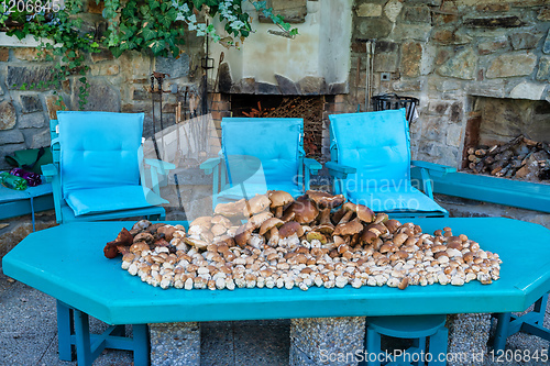 Image of collected mushrooms boletus in pile