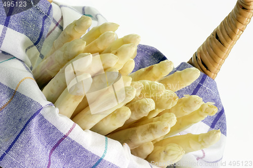 Image of Asparagus_6