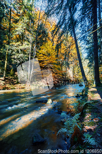 Image of wild river Doubrava, autumn landscape