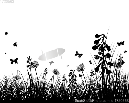 Image of Summer Meadow Background