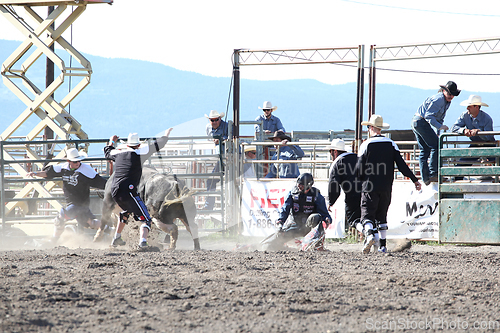 Image of Ty Pozzobon Invitational PBR