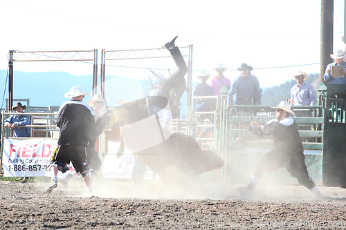 Image of Ty Pozzobon Invitational PBR