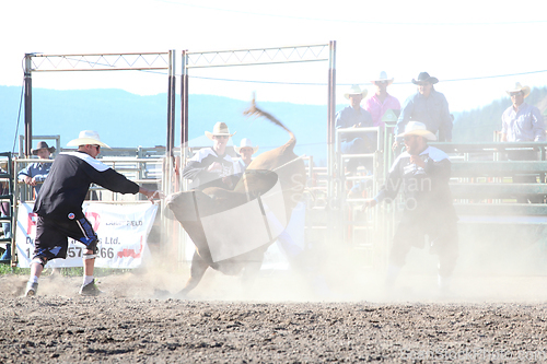 Image of Ty Pozzobon Invitational PBR