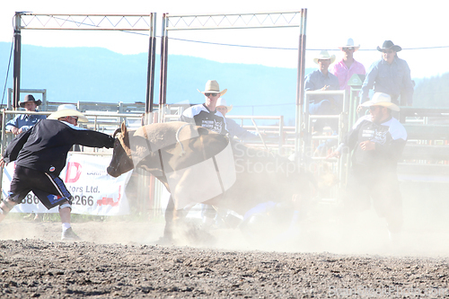 Image of Ty Pozzobon Invitational PBR