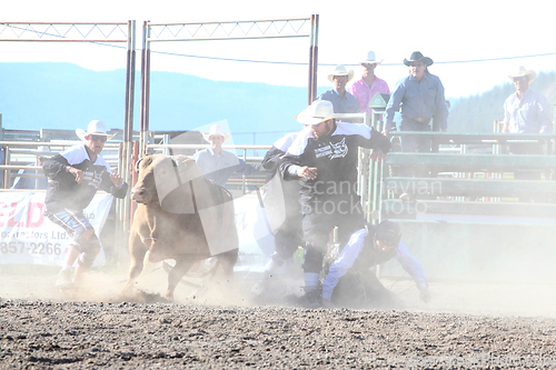 Image of Ty Pozzobon Invitational PBR